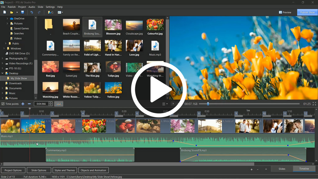 Professional video editing software