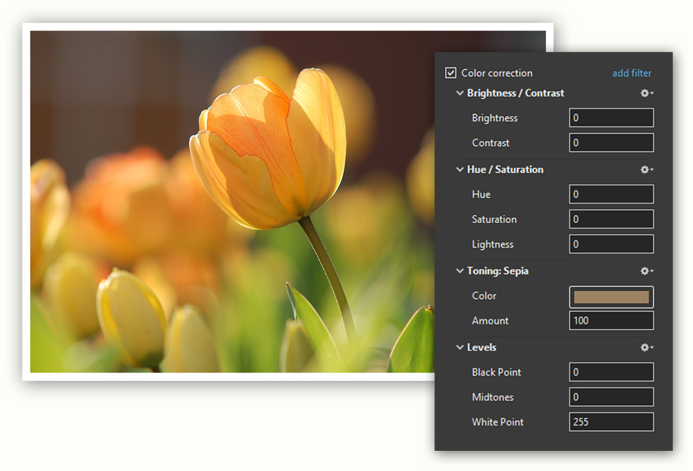 Color Filters